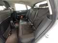 Vista del asiento trasero