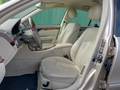 Vista del asiento delantero