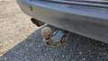 View of trailer tow-bar hitch
