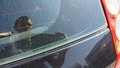 More pictures of glass damage