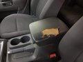Más imágenes del habitáculo