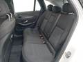 Vista del asiento trasero