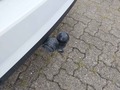Ansicht Anhängerkupplung