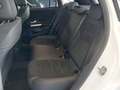 Vista del asiento trasero