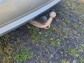 View of trailer tow-bar hitch