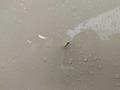 Weitere Bilder Karosserie