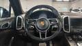 View of steering wheel