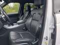 View of front seats