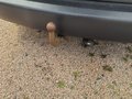 View of trailer tow-bar hitch