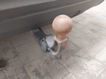 Ansicht Anhängerkupplung