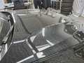 Meer foto's carrosserie