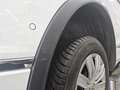 Meer foto's carrosserie