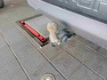 Detailfoto