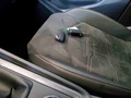 Detailfoto