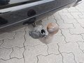 View of trailer tow-bar hitch