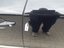 Left rear door