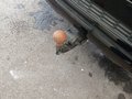 View of trailer tow-bar hitch