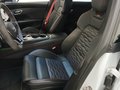View of front seats
