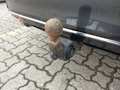 View of trailer tow-bar hitch