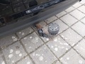 View of trailer tow-bar hitch