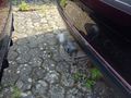 View of trailer tow-bar hitch