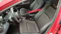 View of front seats