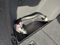 View of trailer tow-bar hitch