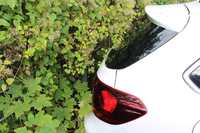 Detailfoto