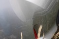 Detailfoto
