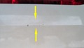 Detailfoto