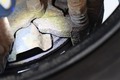Detailfoto