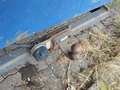 View of trailer tow-bar hitch