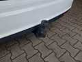 View of trailer tow-bar hitch