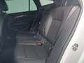 View of rear seat