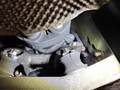 Meer foto's carrosserie