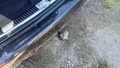 View of trailer tow-bar hitch