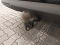 View of trailer tow-bar hitch