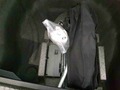 Detailfoto