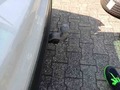 Detailfoto