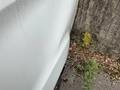 Detailfoto