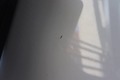 Detailfoto