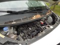 Detailfoto
