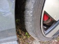 Detailfoto