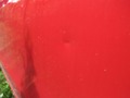 Detailfoto