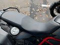 Ansicht Sitze vorne