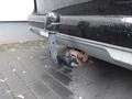 Ansicht Anhängerkupplung