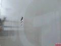 Weitere Bilder Karosserie