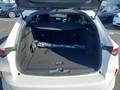 View of boot / luggage space