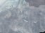 Windscreen