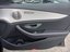 Door side cladding front right